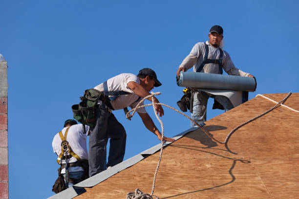 Best New Roof Installation  in White Pigeon, MI